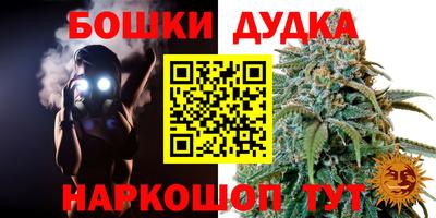 прущие грибы Ипатово