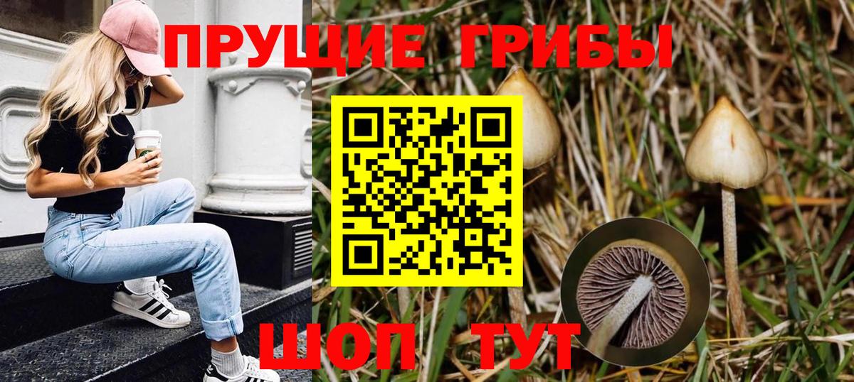 Галлюциногенные грибы мицелий Красный Сулин