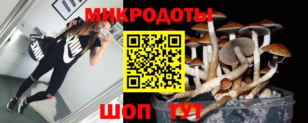 Псилоцибиновые грибы Psilocybine cubensis  Вход с VPN  как найти наркотики  Красный Сулин 