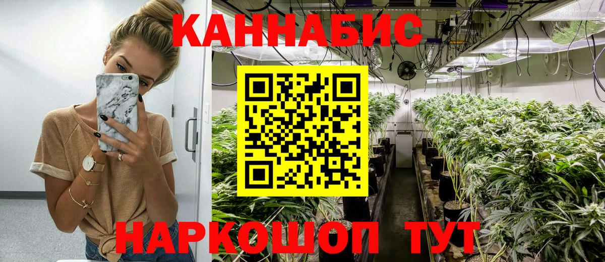 Красный Сулин  Каннабис тримм  Шишки марихуана Ganja  Вход с VPN  Бошки марихуана конопля  Бошки Шишки OG Kush 